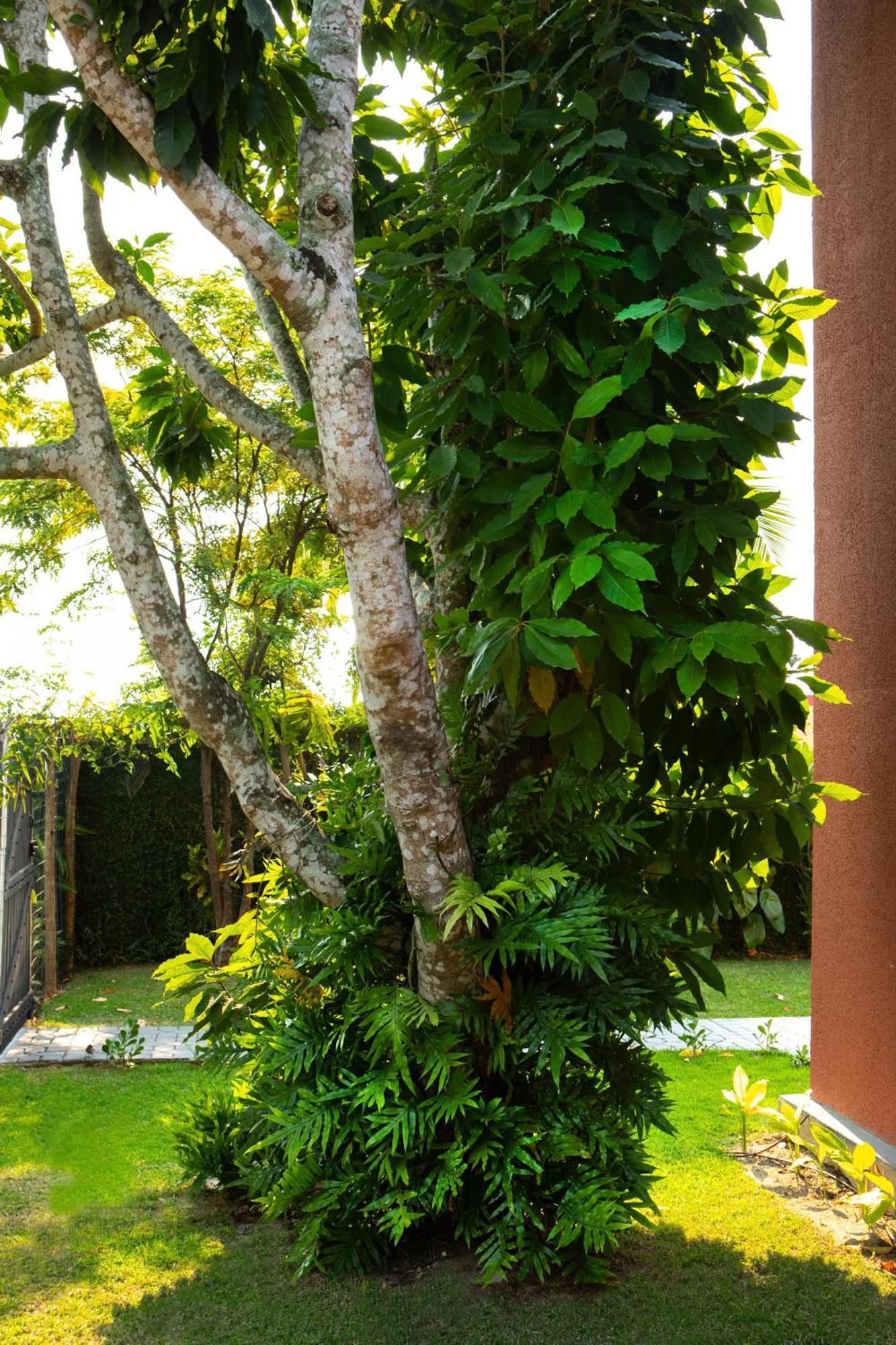 サンセバスチャン Casas Aconchegantes Com Piscina Na Encantadora Praia Das Cigarrasヴィラ エクステリア 写真